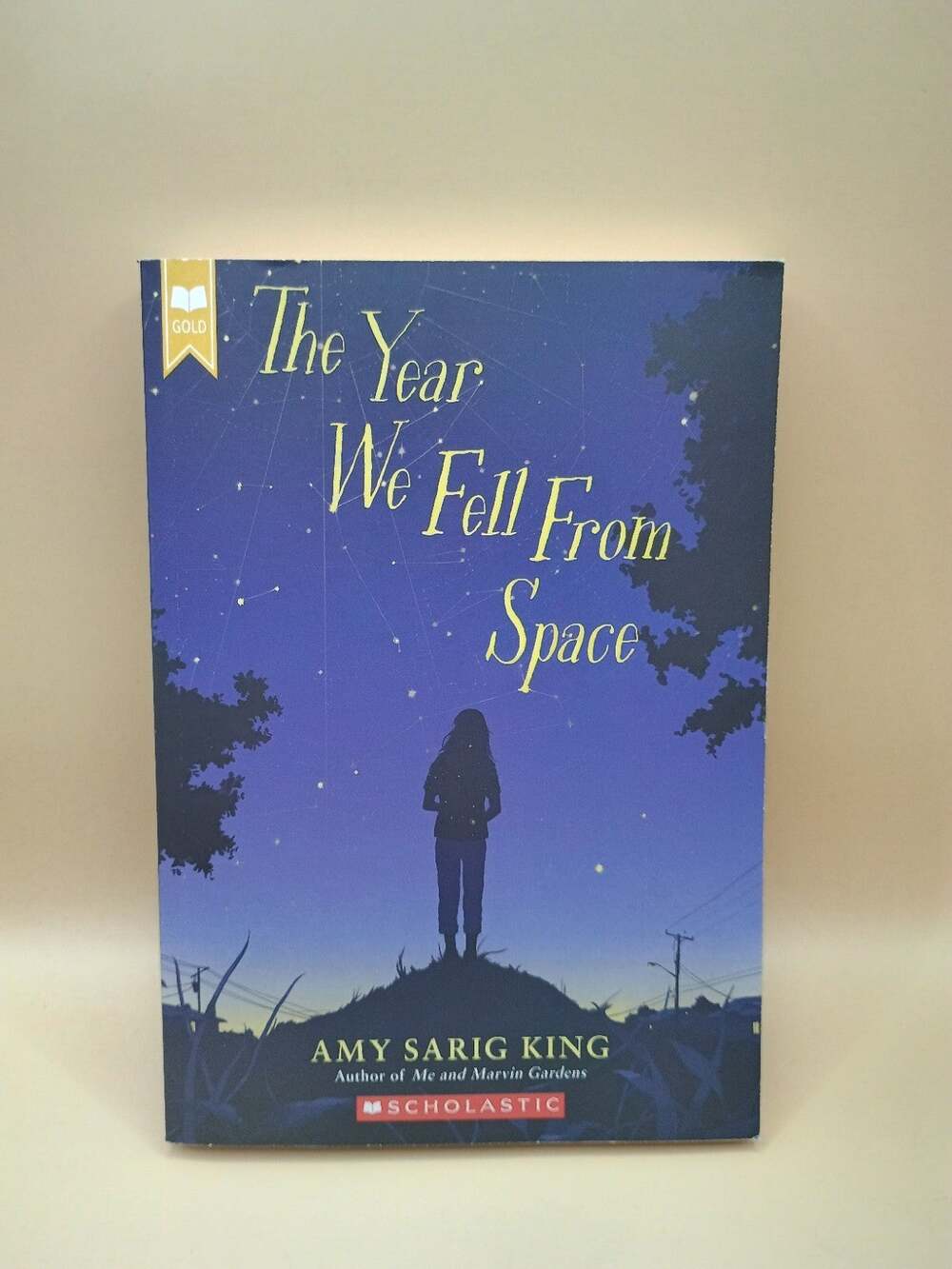 The Year We Fell from Space by King, Amy Sarig